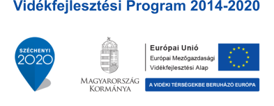 VP program
